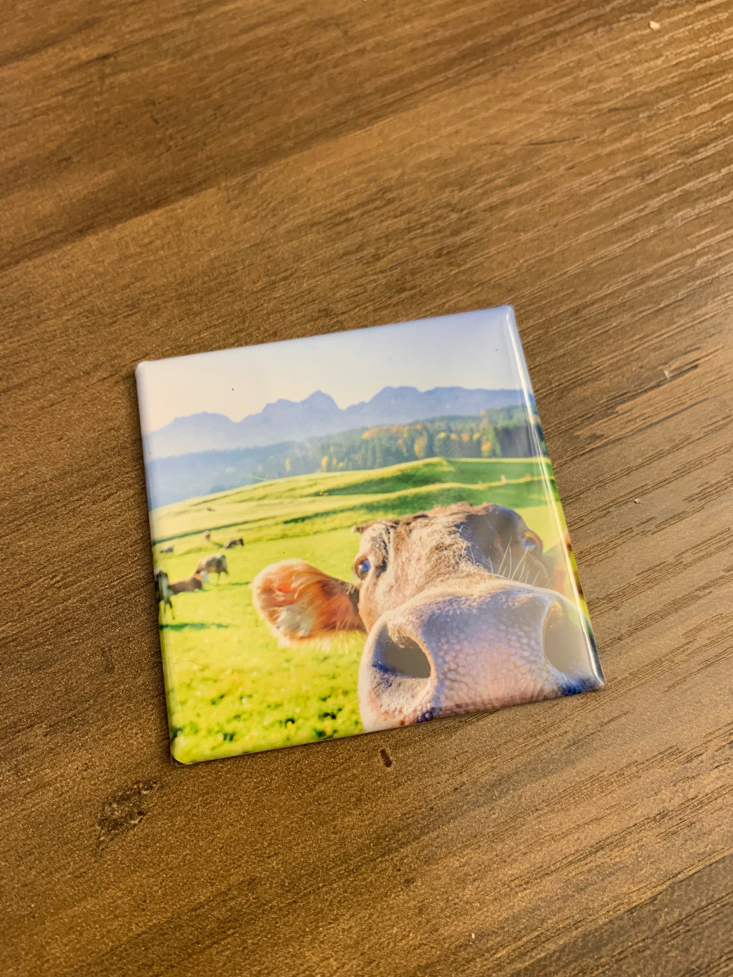 Premade Magnets