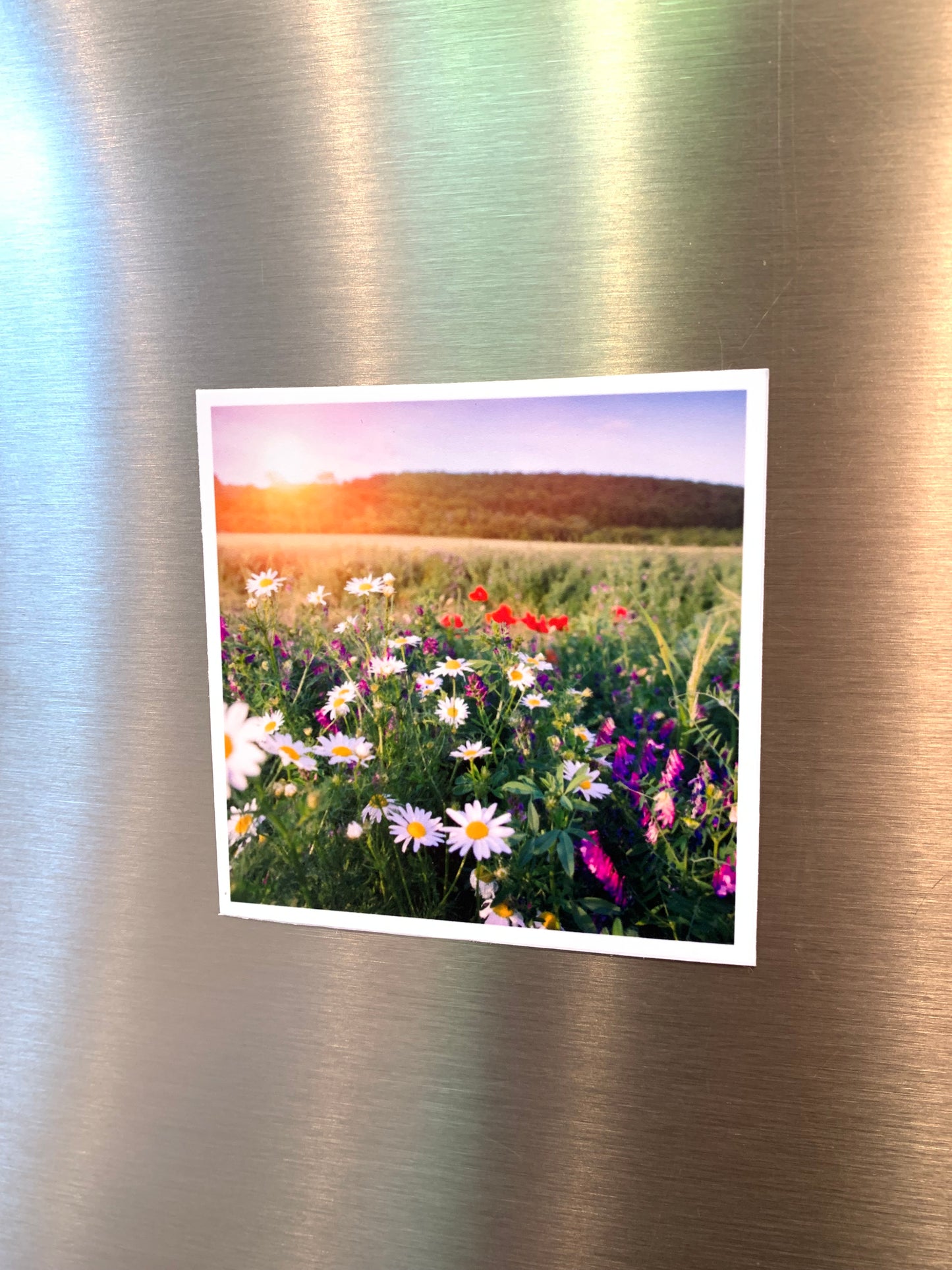 Flex Square Photo Magnets