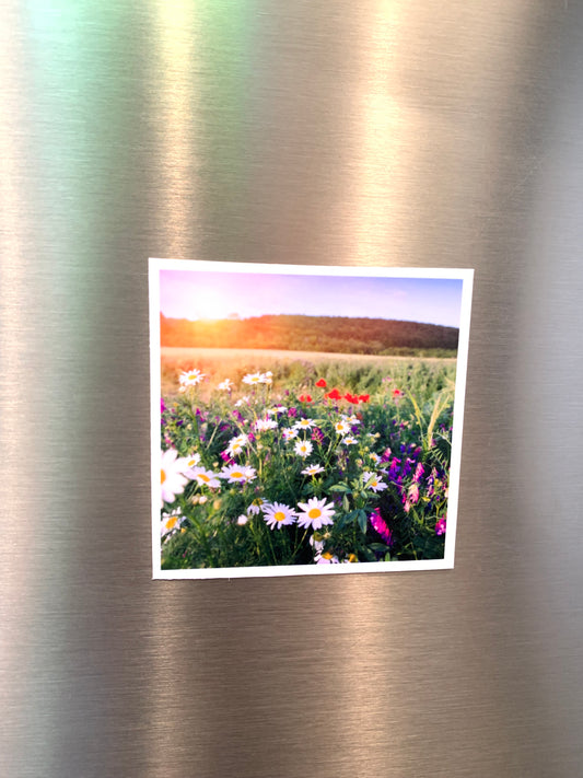 Flex Square Photo Magnets