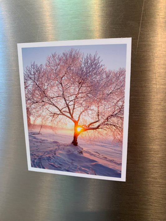 Flex Rectangle Photo Magnets